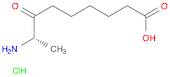 8-Amino-7-oxopelargonic Acid Hydrochloride