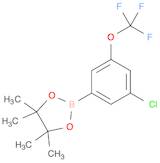 3-Chloro-5-(trifluoromethoxy)phenylboronic acid, pinacol ester