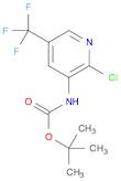 tert-Butyl 2-chloro-5-(trifluoromethyl)pyridin-3-ylcarbamate