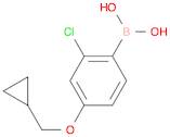 2-Chloro-4-(cyclopropylmethoxy)phenylboronic acid