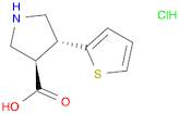 (+/-)-Trans-4-(2-thienyl)-pyrrolidine-3-carboxylic acid-hcl