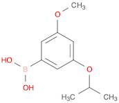 3-Isopropoxy-5-methoxyphenylboronic acid