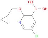 5-Chloro-2-(cyclopropylmethoxy)pyridine-3-boronic acid