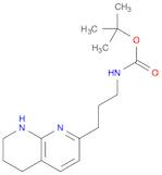 Carbamic acid, [3-(1,5,6,7-tetrahydro-1,8-naphthyridin-2-yl)propyl]-,1,1-dimethylethyl ester