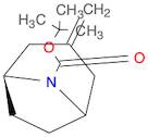 3-Methylene-8-Boc-8-azabicyclo[3.2.1]octane