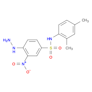 N-(2,4-Dimethylphenyl)-4-hydrazinyl-3-nitrobenzenesulfonamide