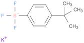 potassium(4-tert-butylphenyl)(trifluoro)borate(1-)