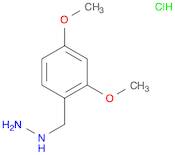 (2,4-dimethoxybenzyl)hydrazine hydrochloride