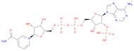 β-Nicotinamide adenine dinucleotide phosphate