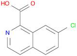 7-Chloroisoquinoline-1-carboxylic acid