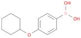 Boronic acid, [4-(cyclohexyloxy)phenyl]-