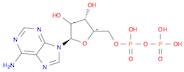 Adenosine 5'-diphosphate