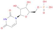 5'-Uridylic acid