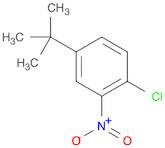 Benzene, 1-chloro-4-(1,1-dimethylethyl)-2-nitro-