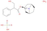 Benzeneacetic acid, a-(hydroxymethyl)-(3-endo)-8-methyl-8-azabicyclo[3.2.1]oct-3-yl ester, sulfa...