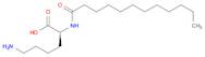 (S)-6-Amino-2-dodecanamidohexanoic acid