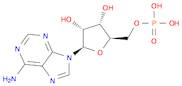 5'-Adenylic acid