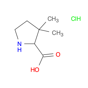 Proline, 3,3-dimethyl-, hydrochloride