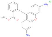 Rhodamine 123