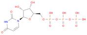 Uridine 5'-(tetrahydrogen triphosphate)