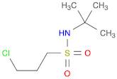 1-Propanesulfonamide, 3-chloro-N-(1,1-dimethylethyl)-