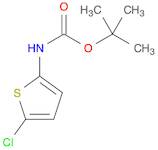 Carbamic acid, (5-chloro-2-thienyl)-, 1,1-dimethylethyl ester