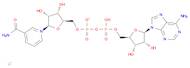 Adenosine 5'-(trihydrogen diphosphate), P'?5' ester with3-(aminocarbonyl)-1-b-D-ribofuranosylpyr...