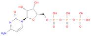 Cytidine 5'-(tetrahydrogen triphosphate)