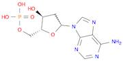 5'-Adenylic acid, 2'-deoxy-