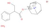 8-Azoniabicyclo[3.2.1]octane,3-(3-hydroxy-1-oxo-2-phenylpropoxy)-8-methyl-8-(1-methylethyl)-, brom…