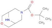 tert-butyl 3-oxa-7,9-diazabicyclo[3.3.1]nonane-7-carboxylate