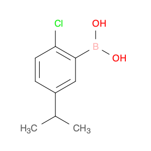 (2-Chloro-5-isopropyl-phenyl)boronic acid