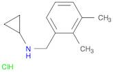 N-(2,3-Dimethylbenzyl)cyclopropanamine hydrochloride