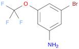 3-bromo-5-(trifluoromethoxy)aniline