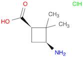 Cyclobutanecarboxylic acid, 3-amino-2,2-dimethyl-, hydrochloride, cis-