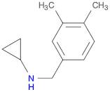 N-(3,4-Dimethylbenzyl)cyclopropanamine