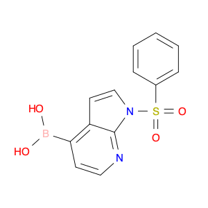 Boronicacid,B-[1-(phenylsulfonyl)-1H-pyrrolo[2,3-b]pyridin-4-yl]-