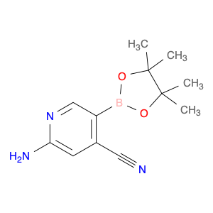 2-amino-5-(4,4,5,5-tetramethyl-1,3,2-dioxaborolan-2-yl)pyridine-4-carbonitrile