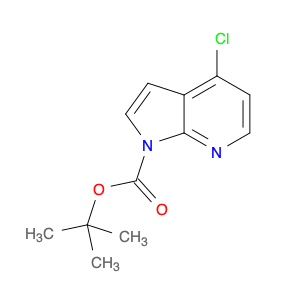 1H-PYRROLO[2,3-B]PYRIDINE-1-CARBOXYLIC ACID,4-CHLORO-, 1,1-DIMETHYLETHYL ESTER