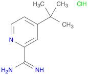 4-(tert-Butyl)picoliniMidaMide hydrochloride