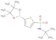 N-tert-butyl-5-(4,4,5,5-tetramethyl-1,3,2-dioxaborolan-2-yl)thiophene-2-sulfonamide