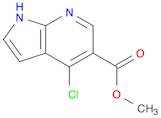 Methyl 4-chloro-7-azaindole-5-carboxylate