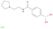 Boronic acid,B-[4-[[[2-(1-pyrrolidinyl)ethyl]amino]carbonyl]phenyl]-, hydrochloride (1:1)