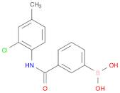 Boronic acid,B-[3-[[(2-chloro-4-methylphenyl)amino]carbonyl]phenyl]-