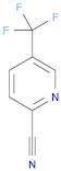 2-Pyridinecarbonitrile, 5-(trifluoromethyl)-