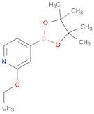 2-Ethoxypyridine-4-boronic acid, pinacol ester