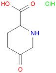 5-oxopiperidine-2-carboxylic acid hydrochloride