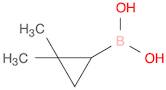 (2,2-dimethylcyclopropyl)boronic acid