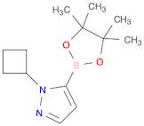 1-cyclobutyl-5-(tetramethyl-1,3,2-dioxaborolan-2-yl)-1H-pyrazole