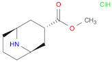 methyl exo-9-azabicyclo[3.3.1]nonane-3-carboxylate hydrochloride